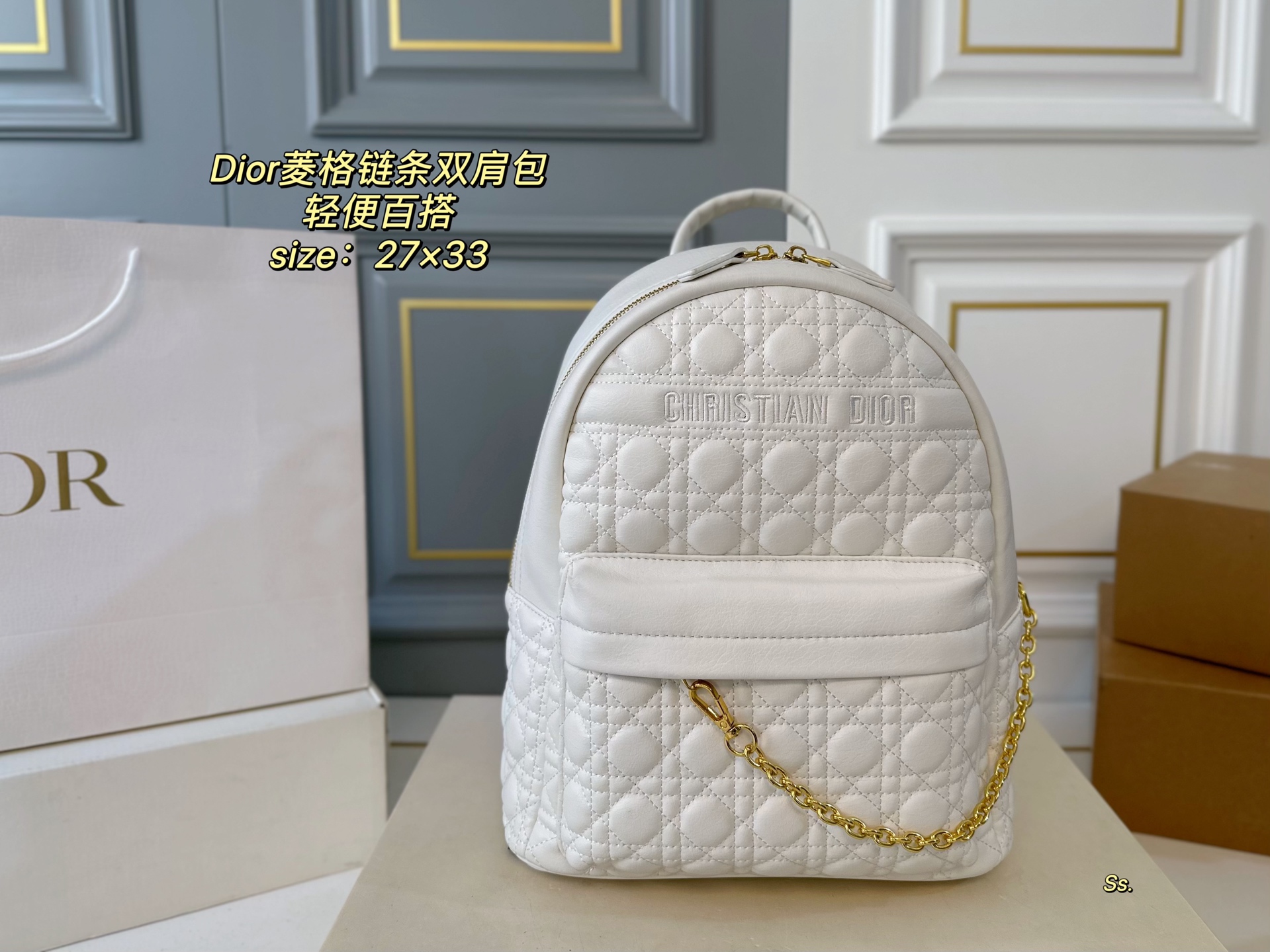 DIOR bag 53